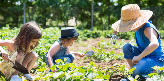 A Beginner's Guide to Organic Gardening: Tips and Techniques for Success