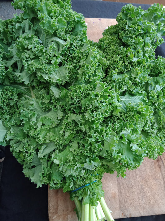 Kale - Green Frilly bunch