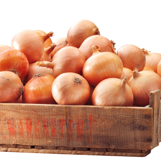 Onion Brown per kilo