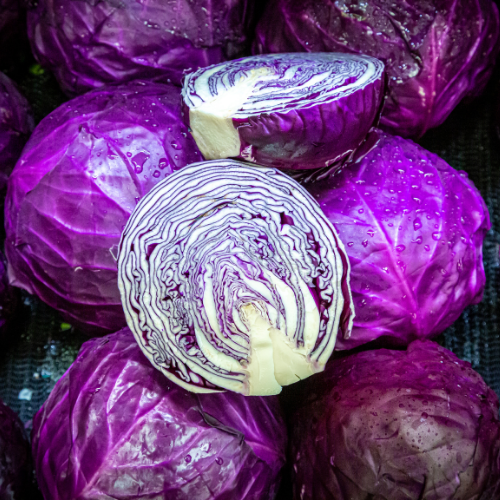 Cabbage Red half
