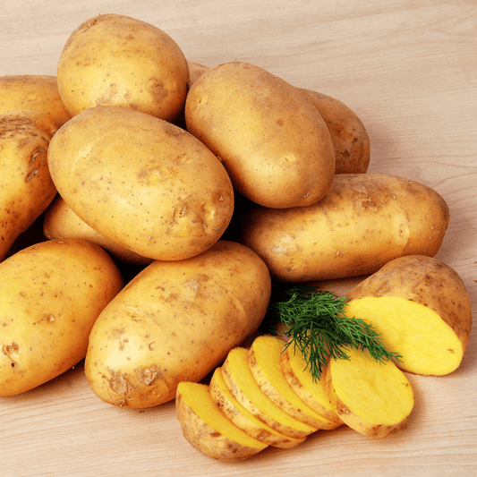 Potatoes Dutch Cream 500g
